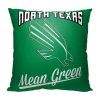 North Texas North Texas Alumni Pillow