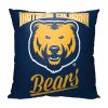 Northern Colorado Alumni Pillow