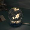 Stars And Seas; Ocean Series Crystal Ball Ornaments; Night Lights; Bedroom Desktop Decorations; Creative Birthday Gifts